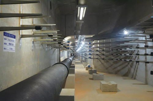 喜訊 公司四項目榮膺中國交建優質工程獎，彰顯市政建設卓越實力